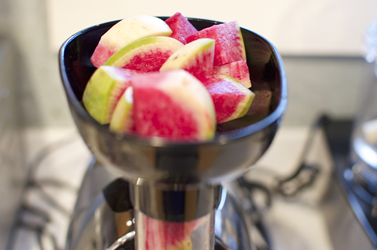 beauty heart radishes