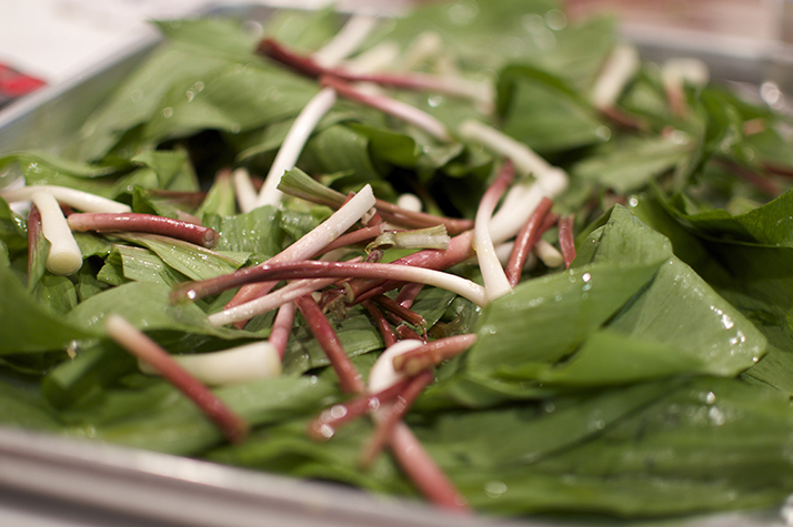 ramps for pesto